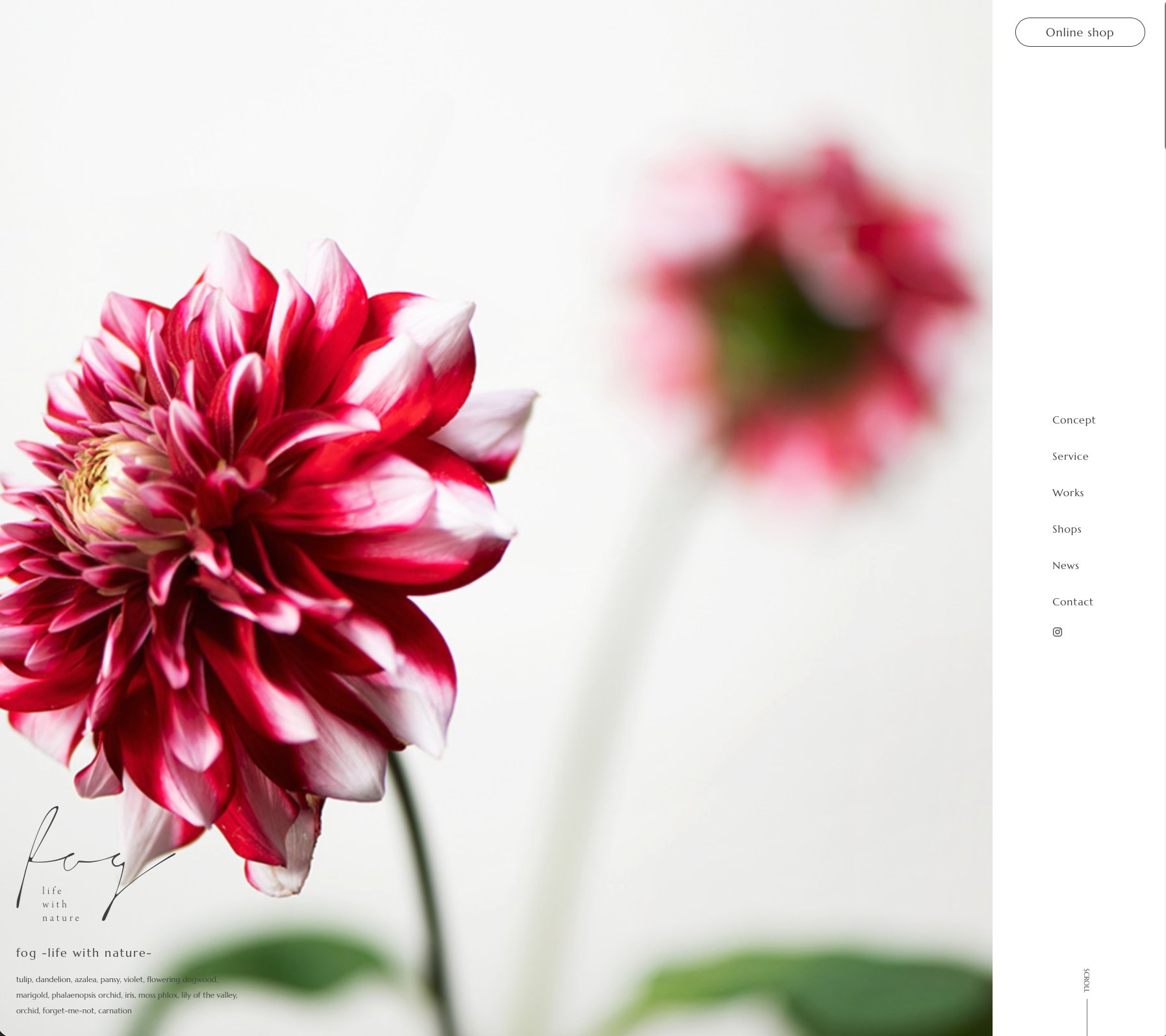 fog website